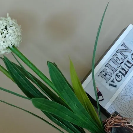 Cap'Azur T2 - Rdj - Vue Golf Διαμέρισμα Saint-Raphaël