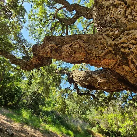 Cap'Azur T2 - Rdj - Vue Golf *